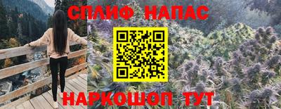 гидра Гагарин