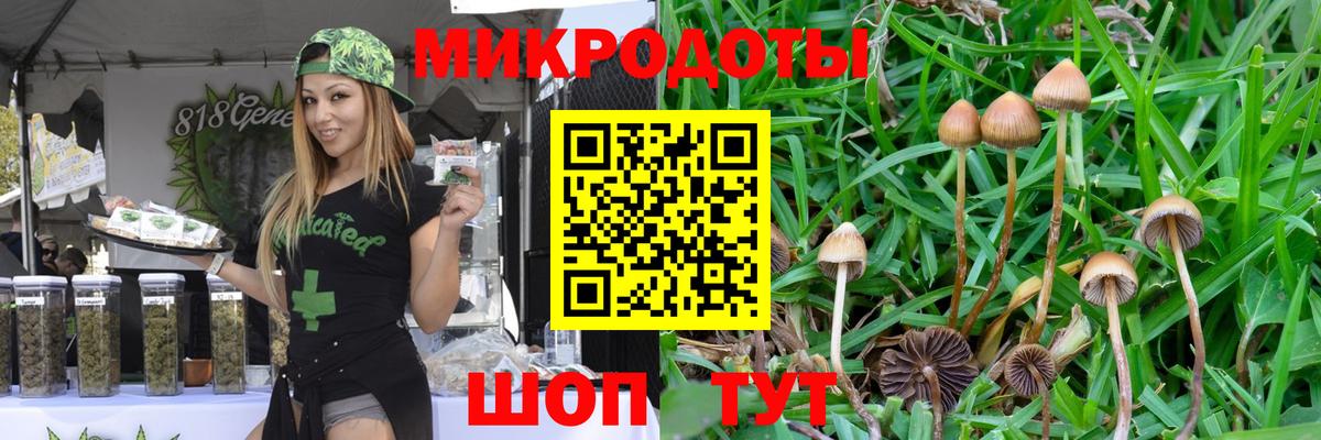 Псилоцибиновые грибы ЛСД Выборг