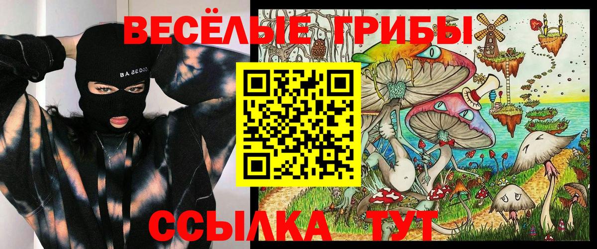 Галлюциногенные грибы Magic Shrooms  Вход с VPN  Выборг 